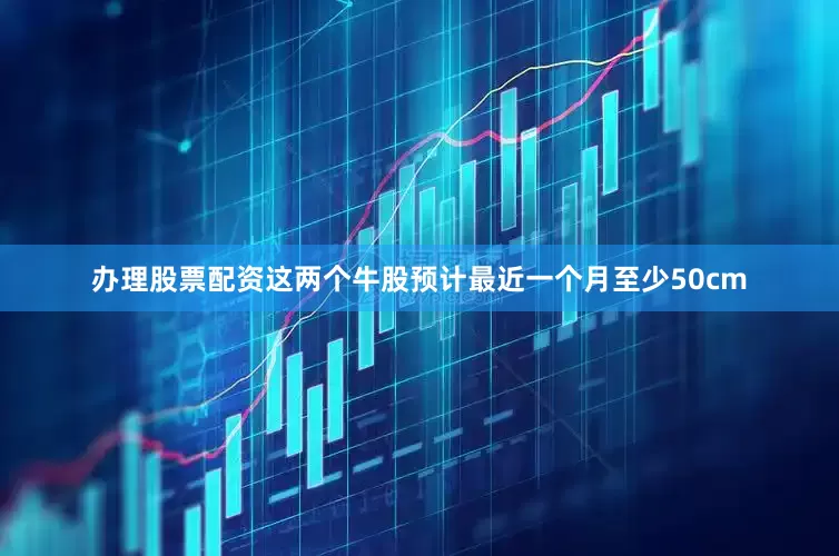 办理股票配资这两个牛股预计最近一个月至少50cm