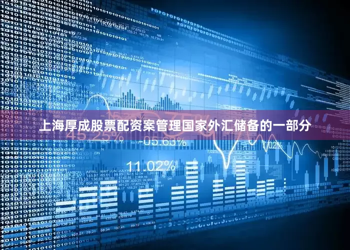 上海厚成股票配资案管理国家外汇储备的一部分